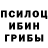 Галлюциногенные грибы GOLDEN TEACHER All All