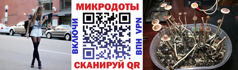 Галлюциногенные грибы Magic Shrooms  Буй 
